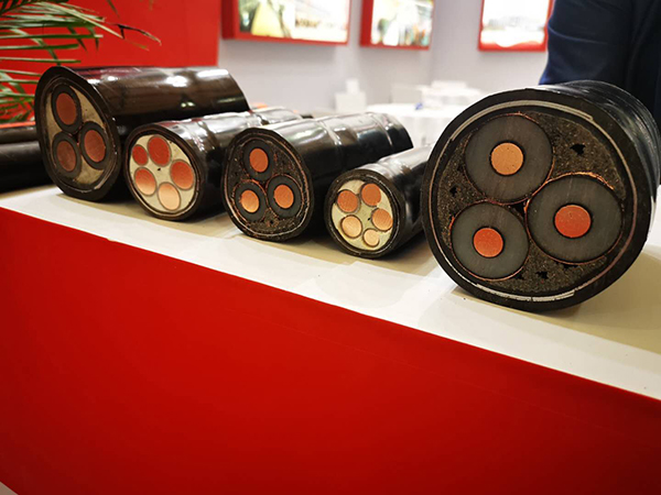 1608797093140583.jpg 1.jpg